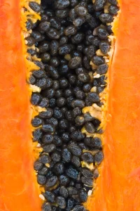 Sementes do Mamão: Aproveite essa Riqueza! - AGC Frutas®