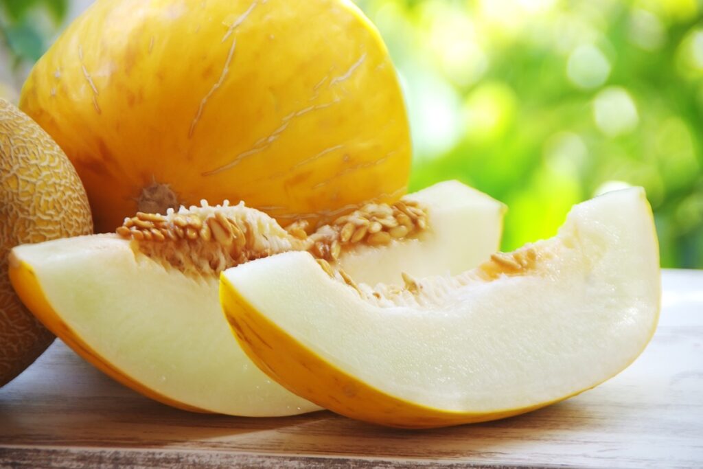 A imagem atual não possui texto alternativo. O nome do arquivo é: melao-10.jpg