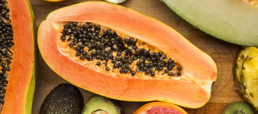 Tecnologia e Suatentabilidade - AGC Frutas