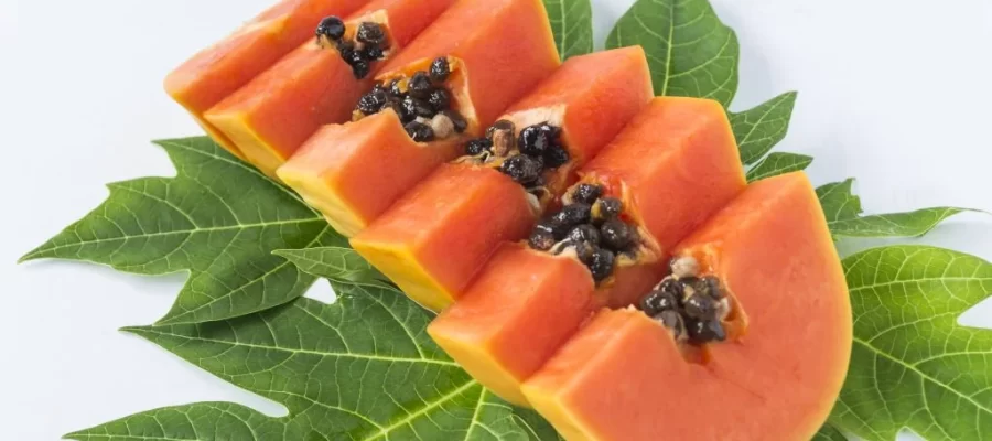 Benefícios Surpreendentes da Casca do Mamão-AGC Frutas®