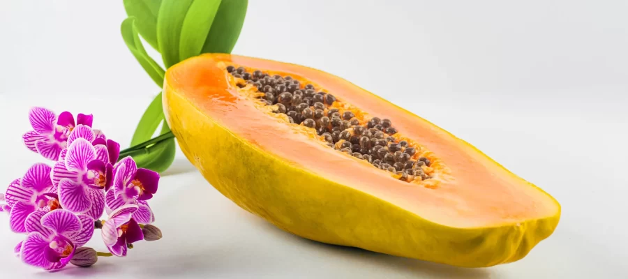 Top 3 Frutas para Começar Bem o Dia - AGC Frutas®