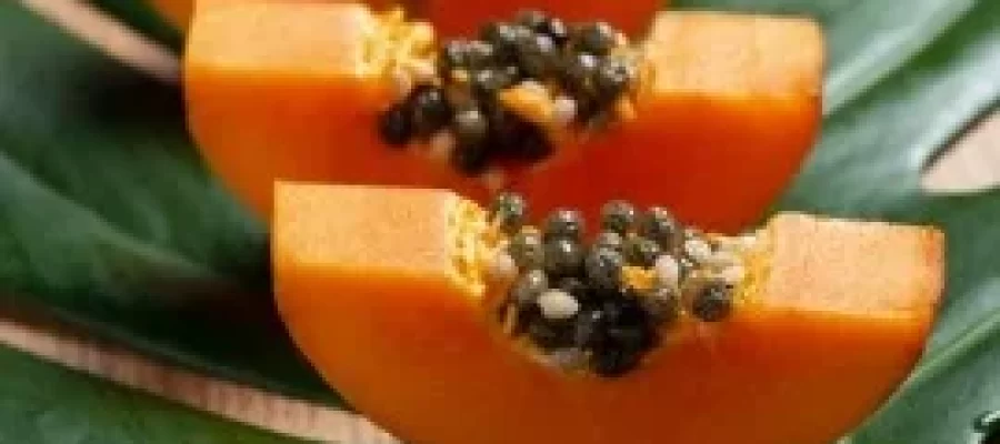 Cicatrização da Pele com Mamão-AGC Frutas