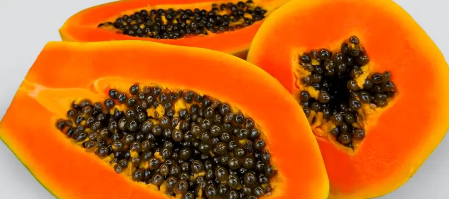 A Força da AGC Frutas no Dia Mundial do Meio Ambiente