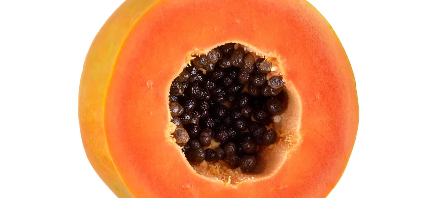 Sementes do Mamão - Benefícios - AGC