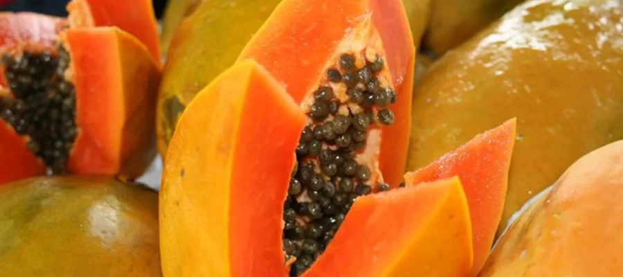 12 Motivos para Consumir Mamão-AGC Frutas