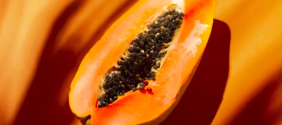composition-delicious-exotic-papaya-1-scaled-qxawpsl32od2e9x5a1u6o84by4ordxplz7yp2ty9b4-2