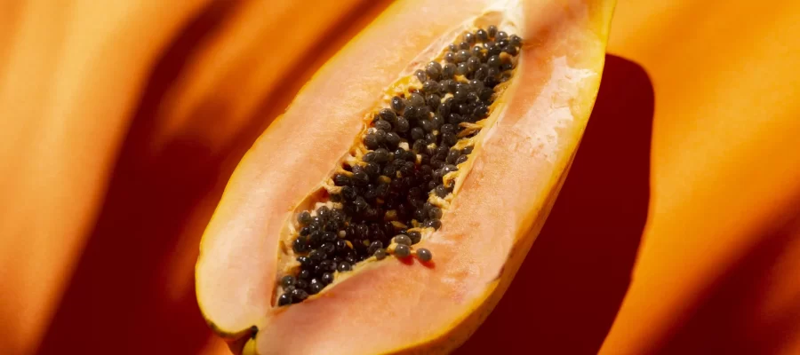 Por que Comer Mamão faz Tão Bem À Saúde? AGC Frutas