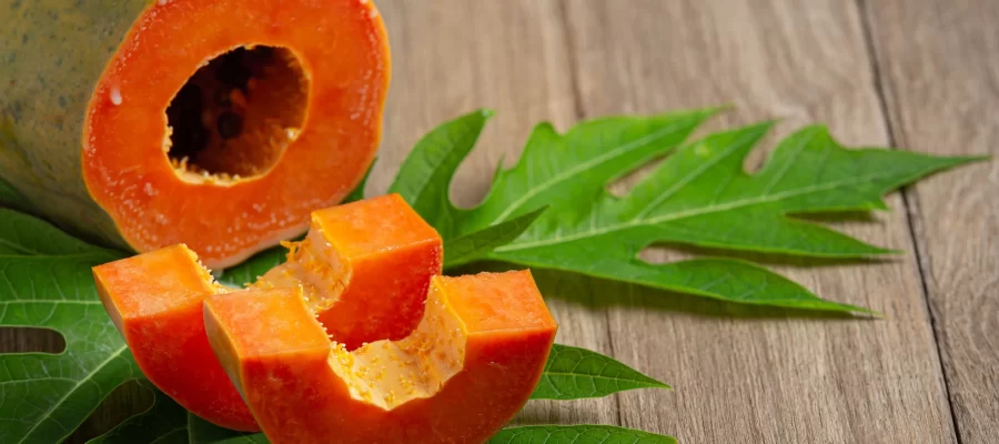 Mamão Produção-AGC Frutas