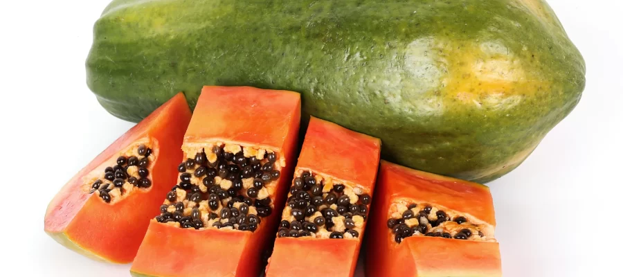 Segredo para uma Vida Saudável- Mamão-AGC Frutas