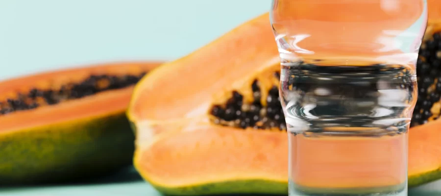 Tecnologia e o Mamão: Um Salto para o Futuro-AGC Frutas®