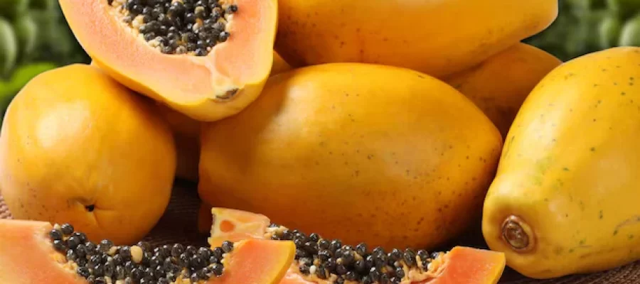 The Brazil Conference & Expo 2024-AGC frutas