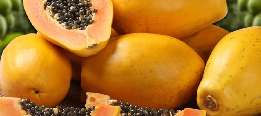 A Fruta que Surpreende e Transforma Sua Saúde: Mamão!-AGC Frutas®