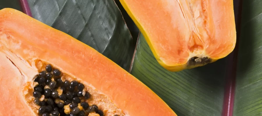Mamão: O Superalimento para o Seu Fígado-AGC Frutas